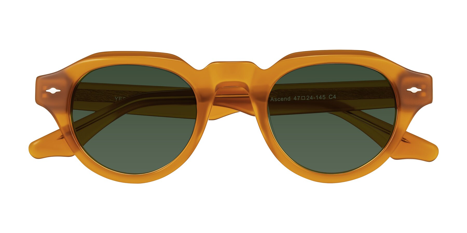Folded Front of Ascend in Caramel with Green Tinted Lenses