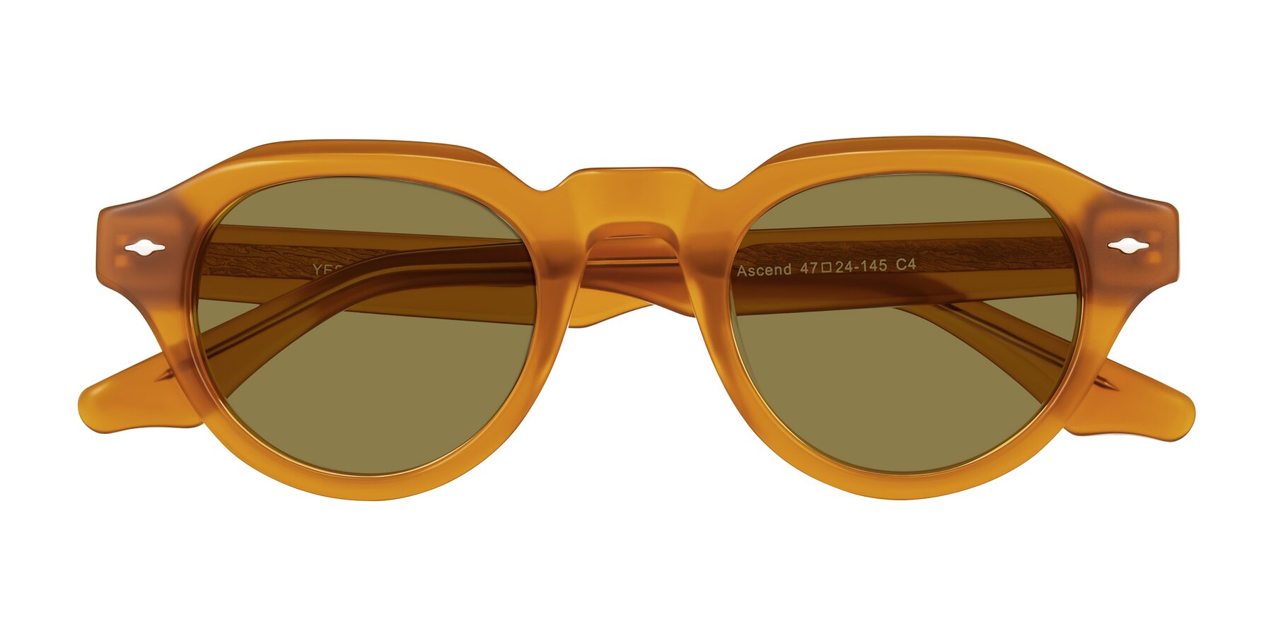 Folded Front of Ascend in Caramel with Brown Polarized Lenses