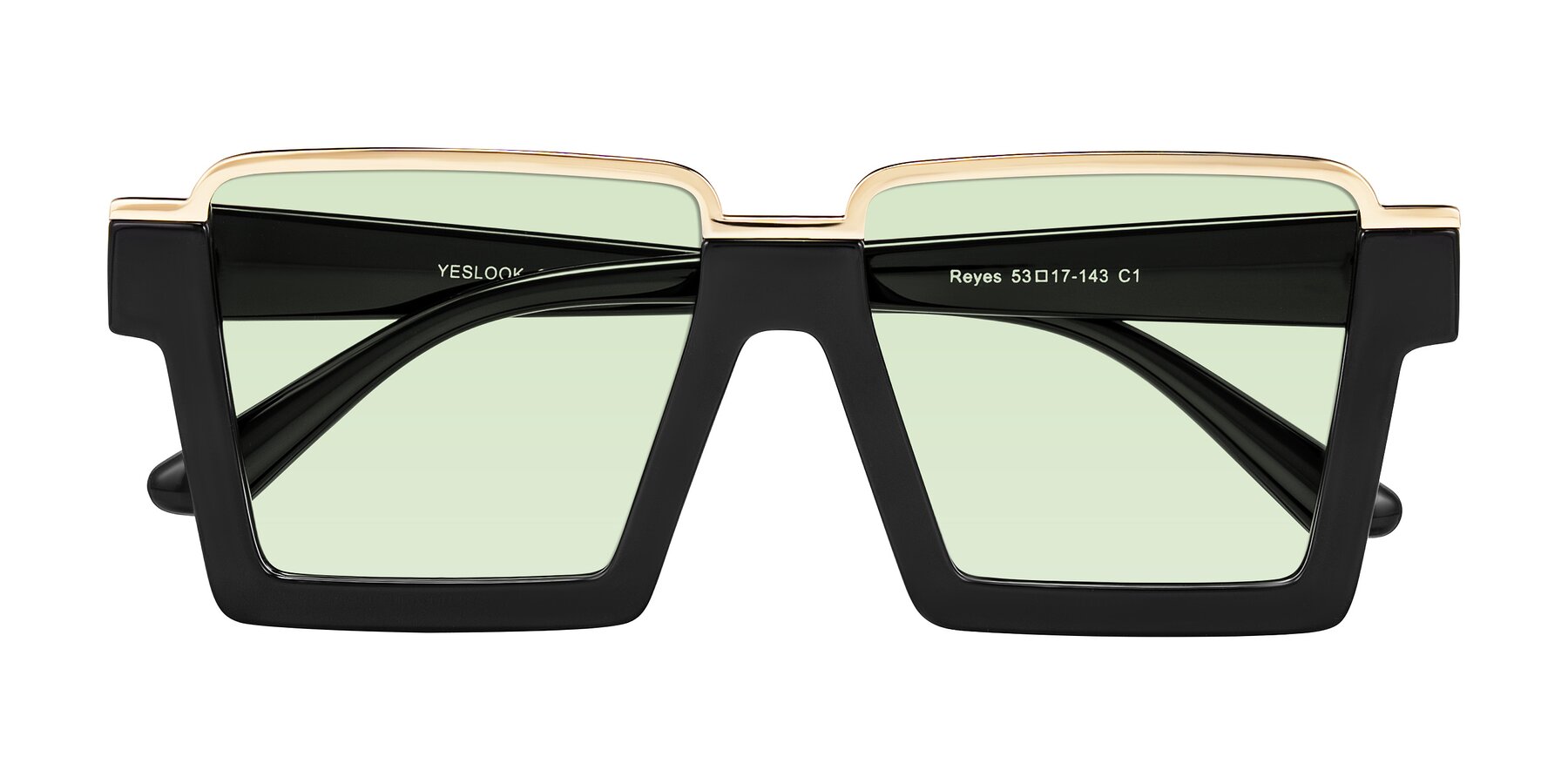 Folded Front of Reyes in Black with Light Green Tinted Lenses