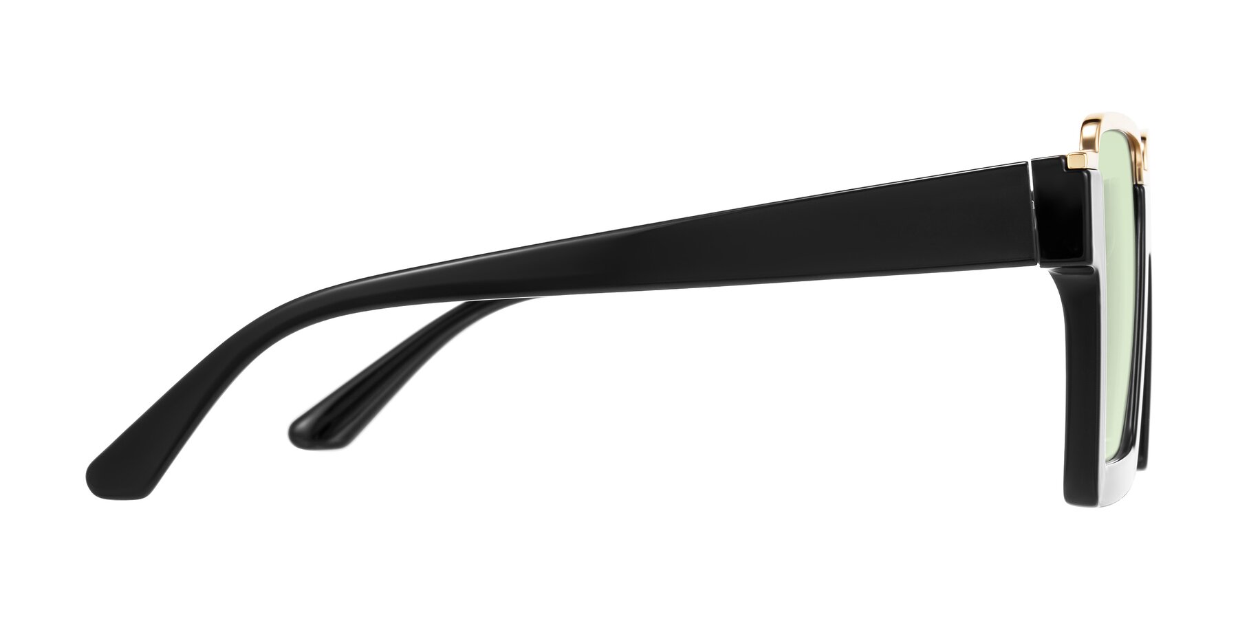 Side of Reyes in Black with Light Green Tinted Lenses