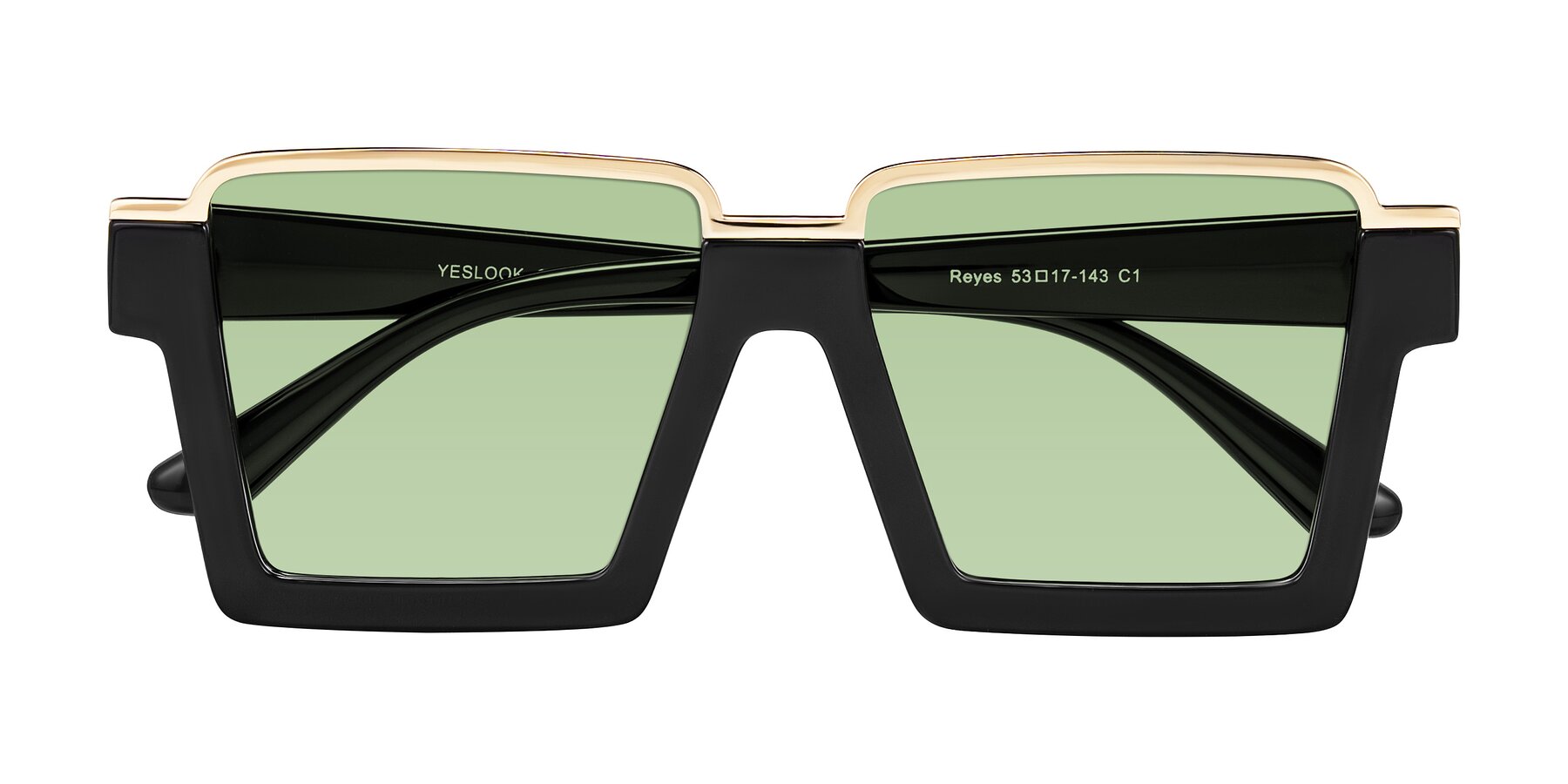 Folded Front of Reyes in Black with Medium Green Tinted Lenses