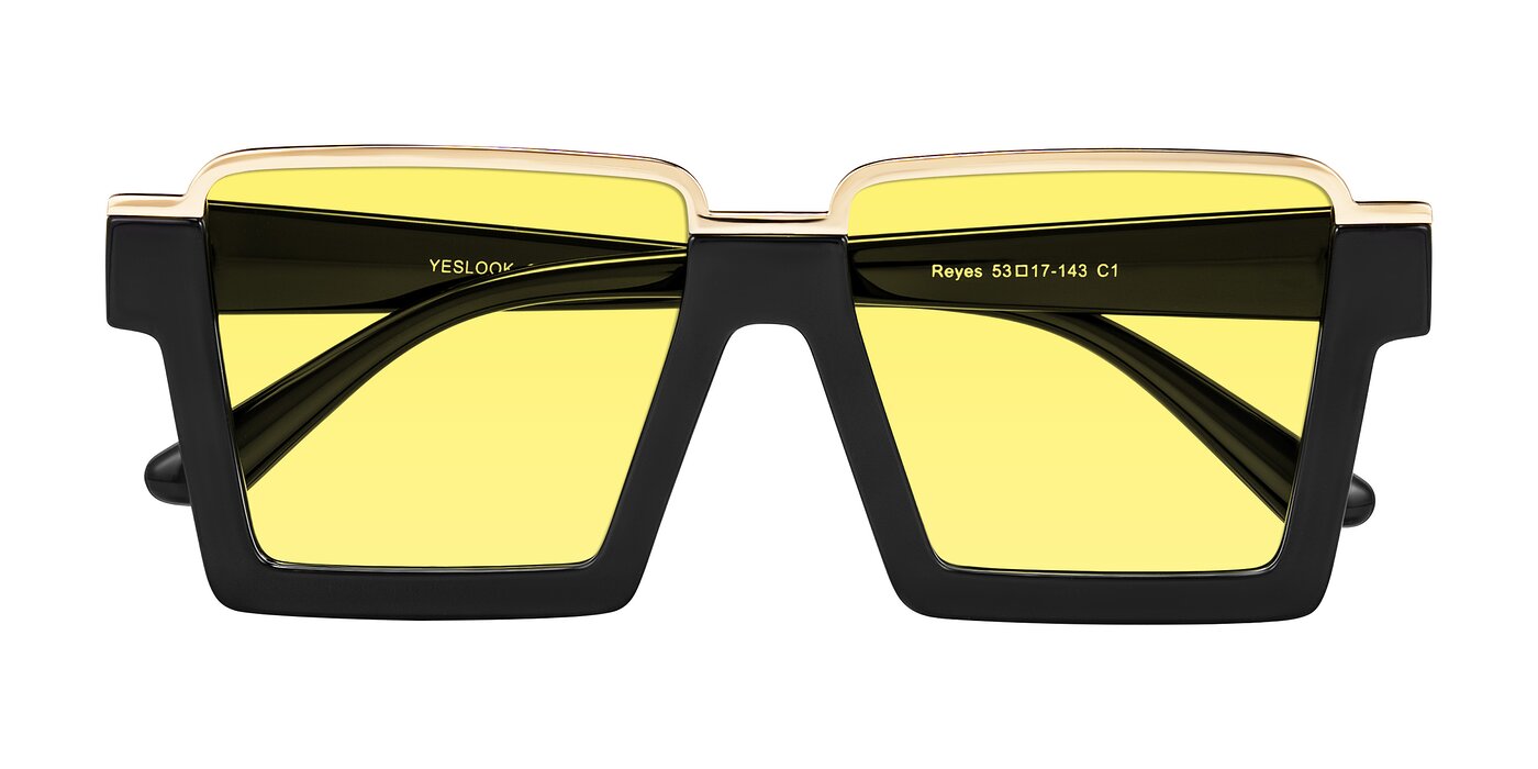 Reyes - Black Tinted Sunglasses