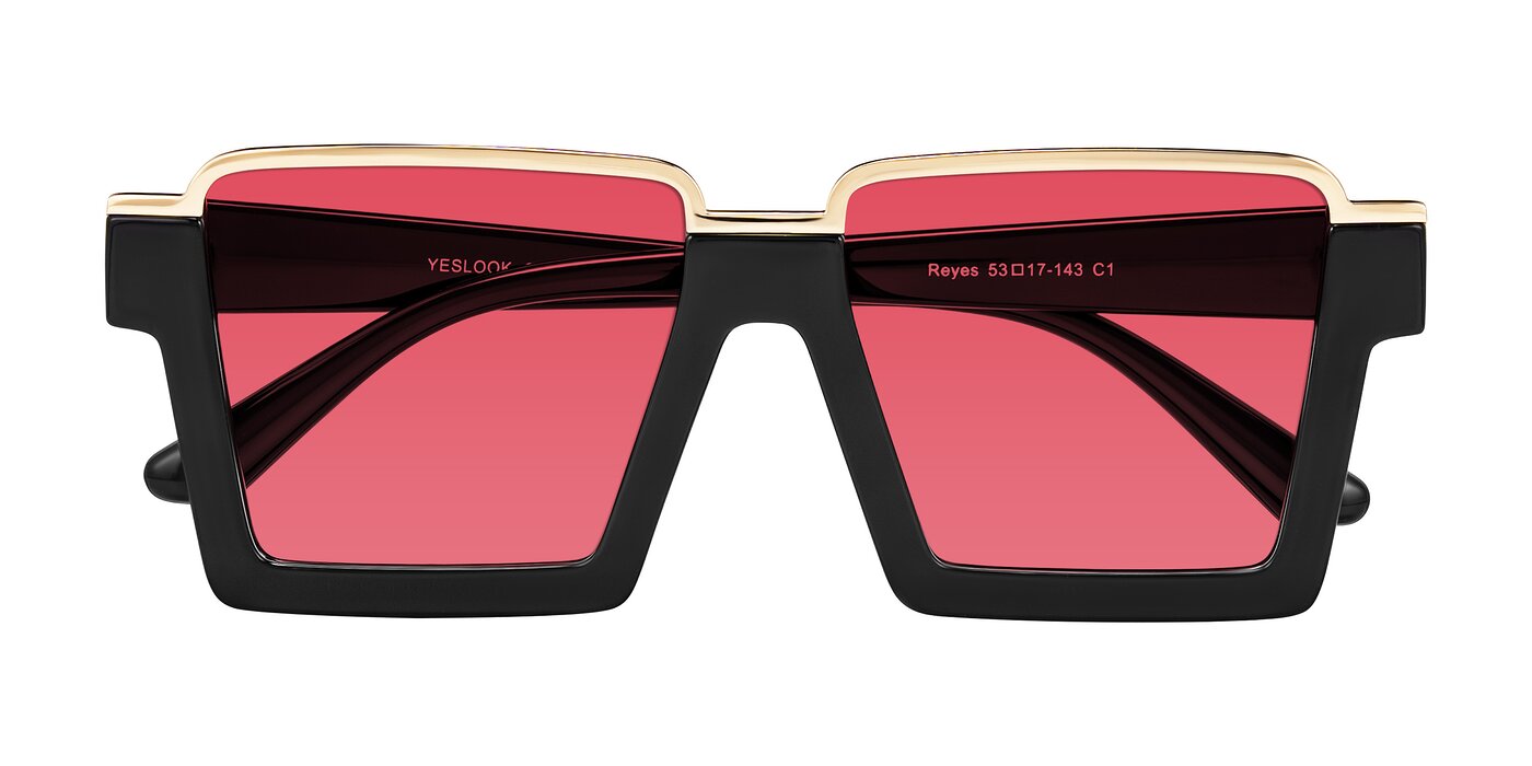 Reyes - Black Tinted Sunglasses