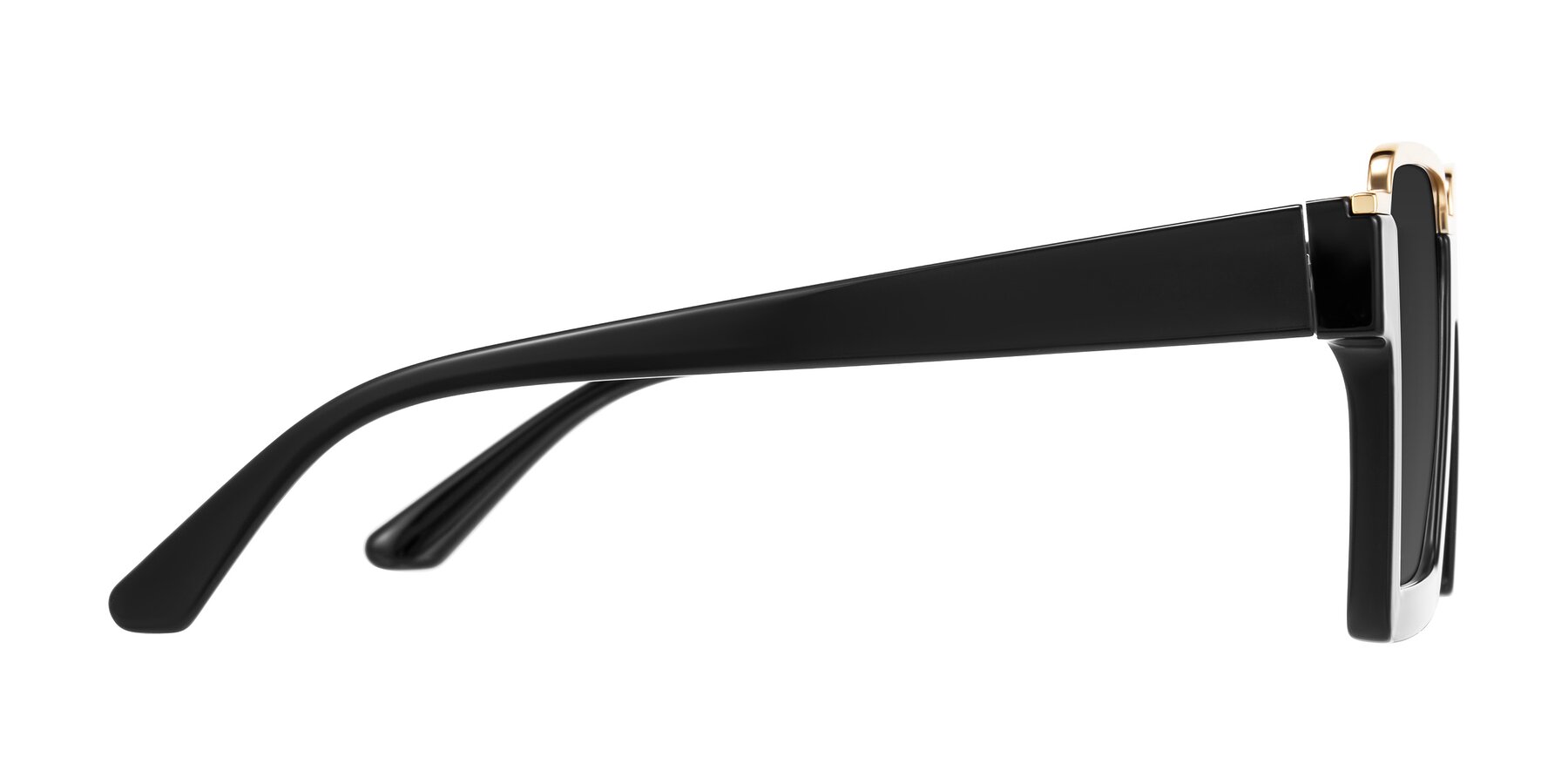 Side of Reyes in Black with Gray Tinted Lenses
