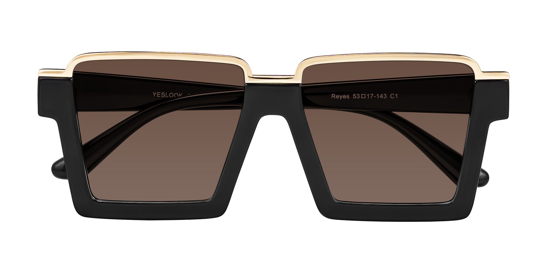 Folded Front of Reyes in Black with Brown Tinted Lenses