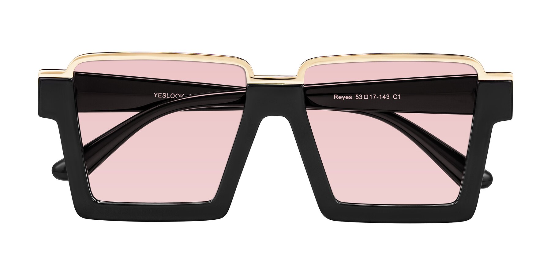 Folded Front of Reyes in Black with Light Garnet Tinted Lenses