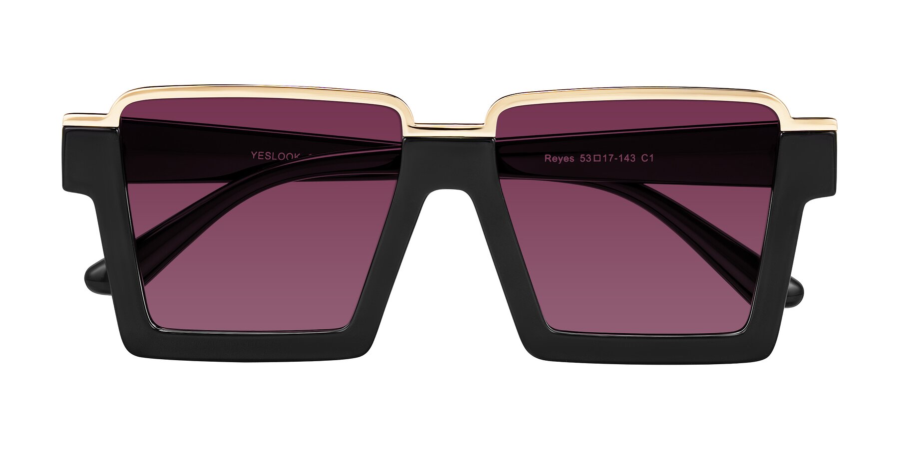 Folded Front of Reyes in Black with Wine Tinted Lenses