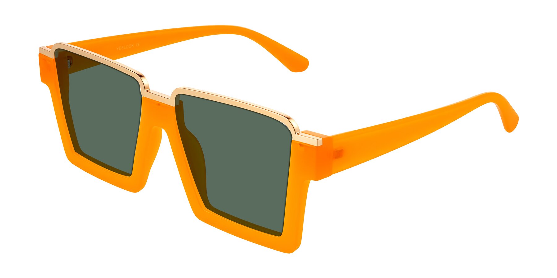 Angle of Reyes in Orange with Green Polarized Lenses