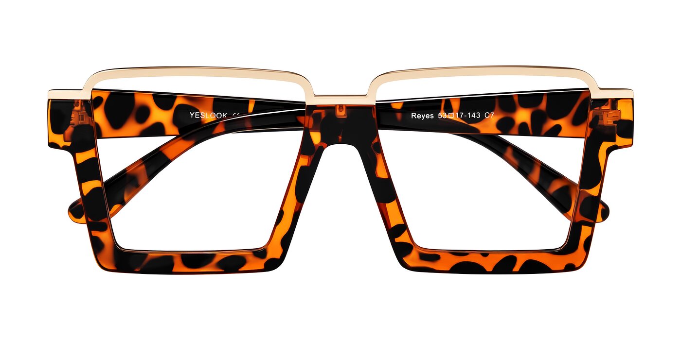 Reyes - Leopard-Print Eyeglasses