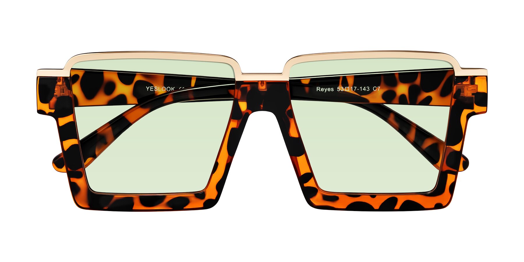 Folded Front of Reyes in Leopard-Print with Light Green Tinted Lenses