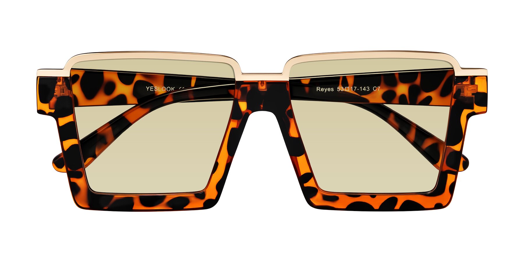 Folded Front of Reyes in Leopard-Print with Light Champagne Tinted Lenses
