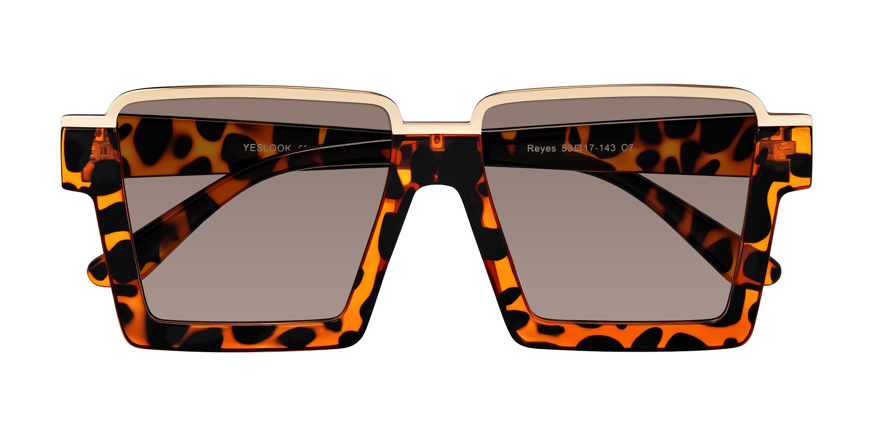 Folded Front of Reyes in Leopard-Print with Medium Brown Tinted Lenses