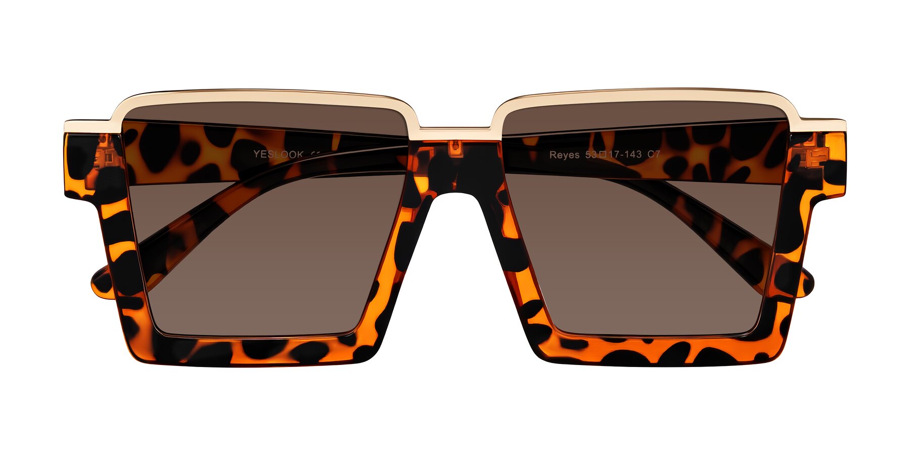 Reyas Color Leopard-Print Geek-Chic Oversized Square Tinted Sunglasses with Brown ...