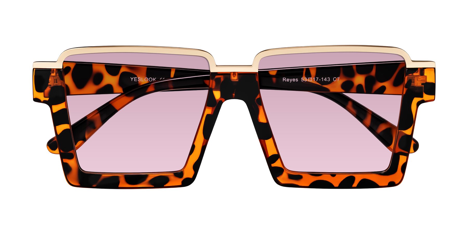 Folded Front of Reyes in Leopard-Print with Light Wine Tinted Lenses