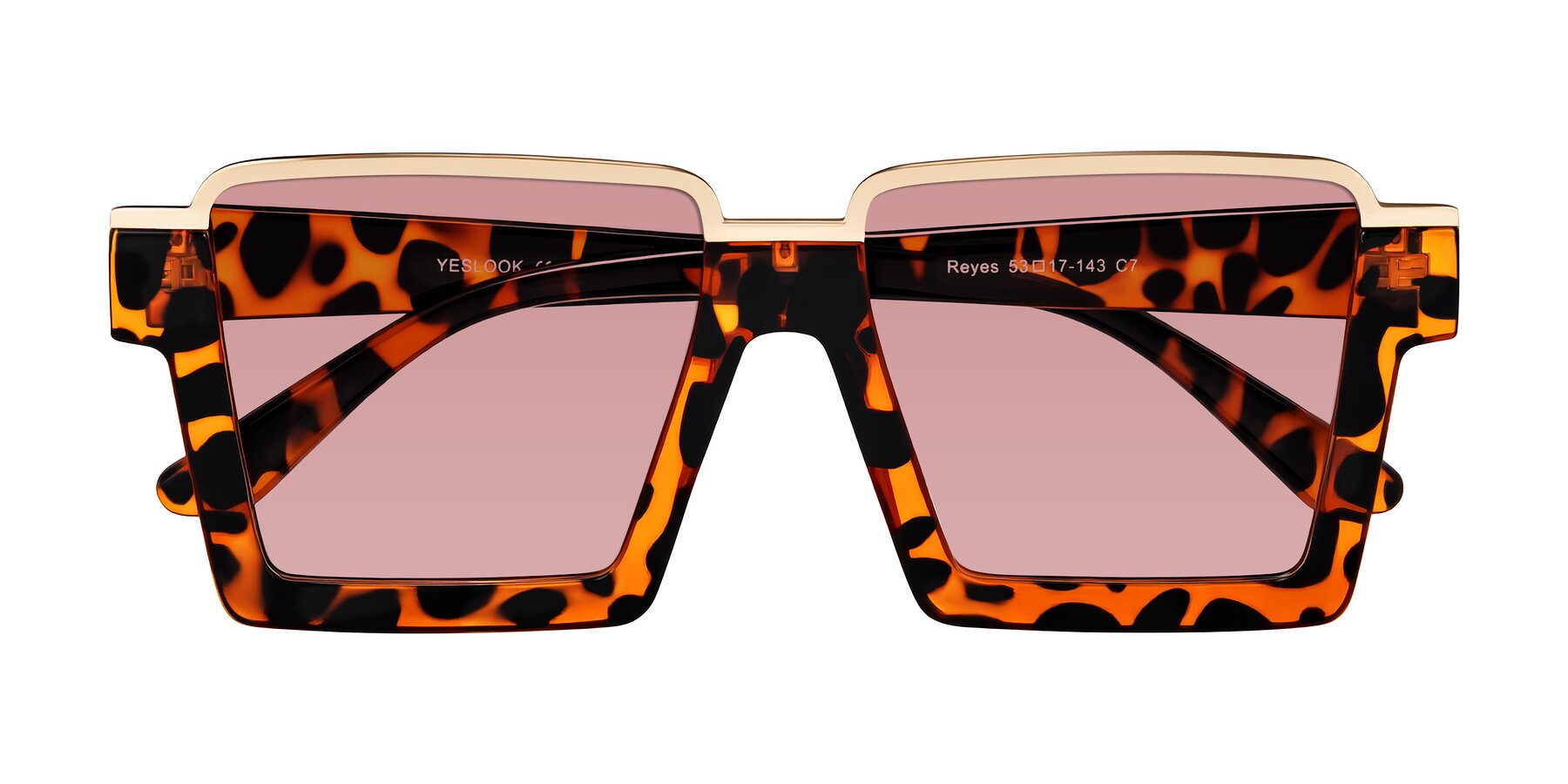 Folded Front of Reyes in Leopard-Print with Medium Garnet Tinted Lenses