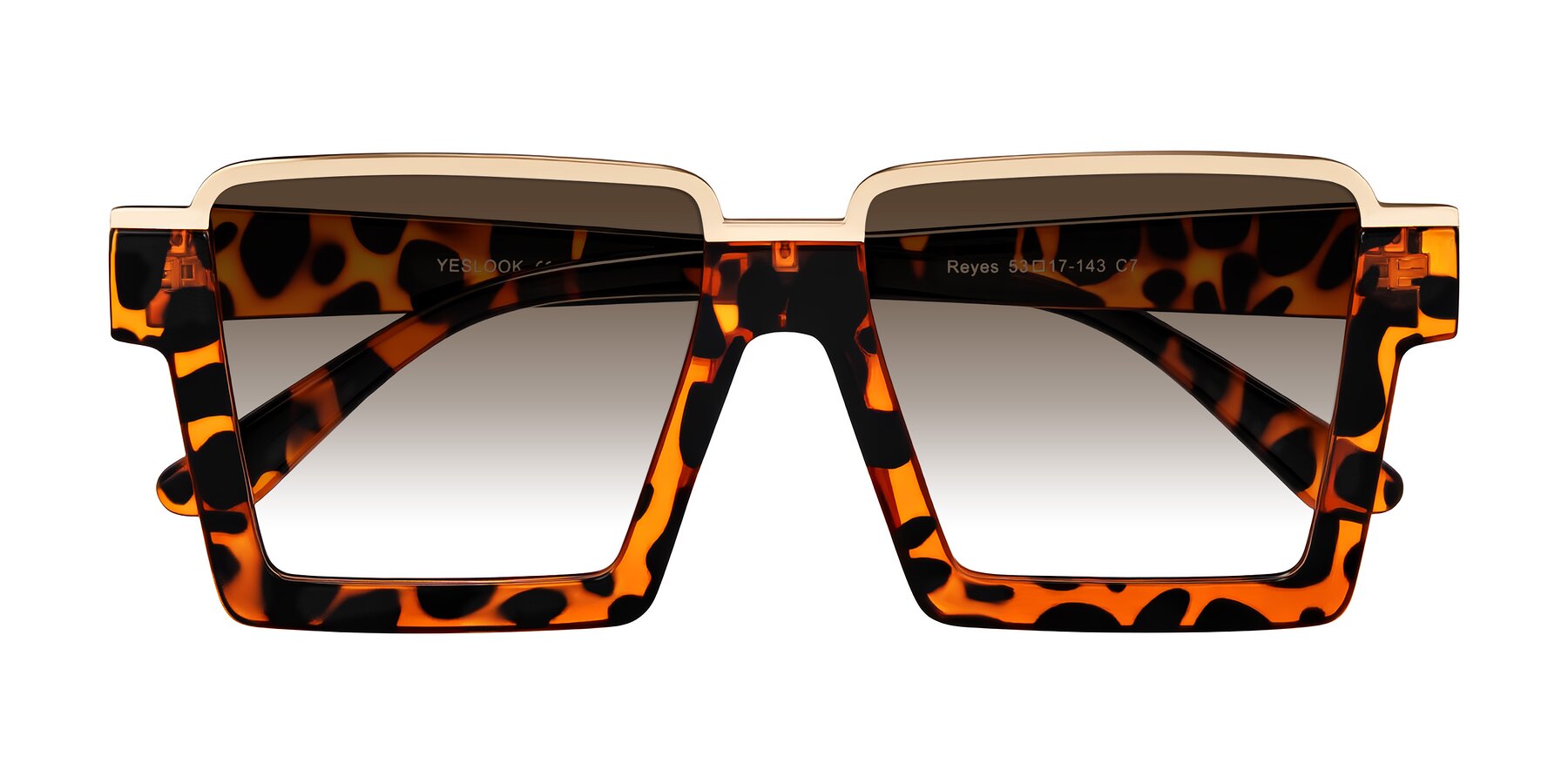 Folded Front of Reyes in Leopard-Print with Brown Gradient Lenses