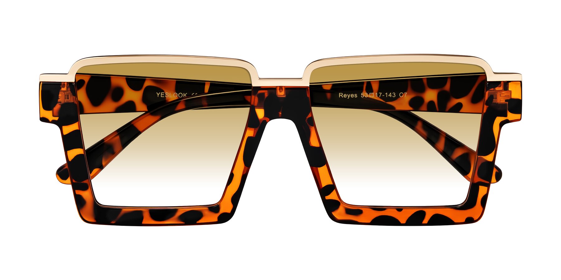 Folded Front of Reyes in Leopard-Print with Champagne Gradient Lenses