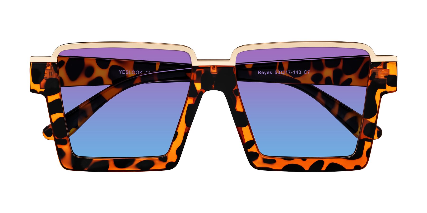 Folded Front of Reyes in Leopard-Print with Purple / Blue Gradient Lenses