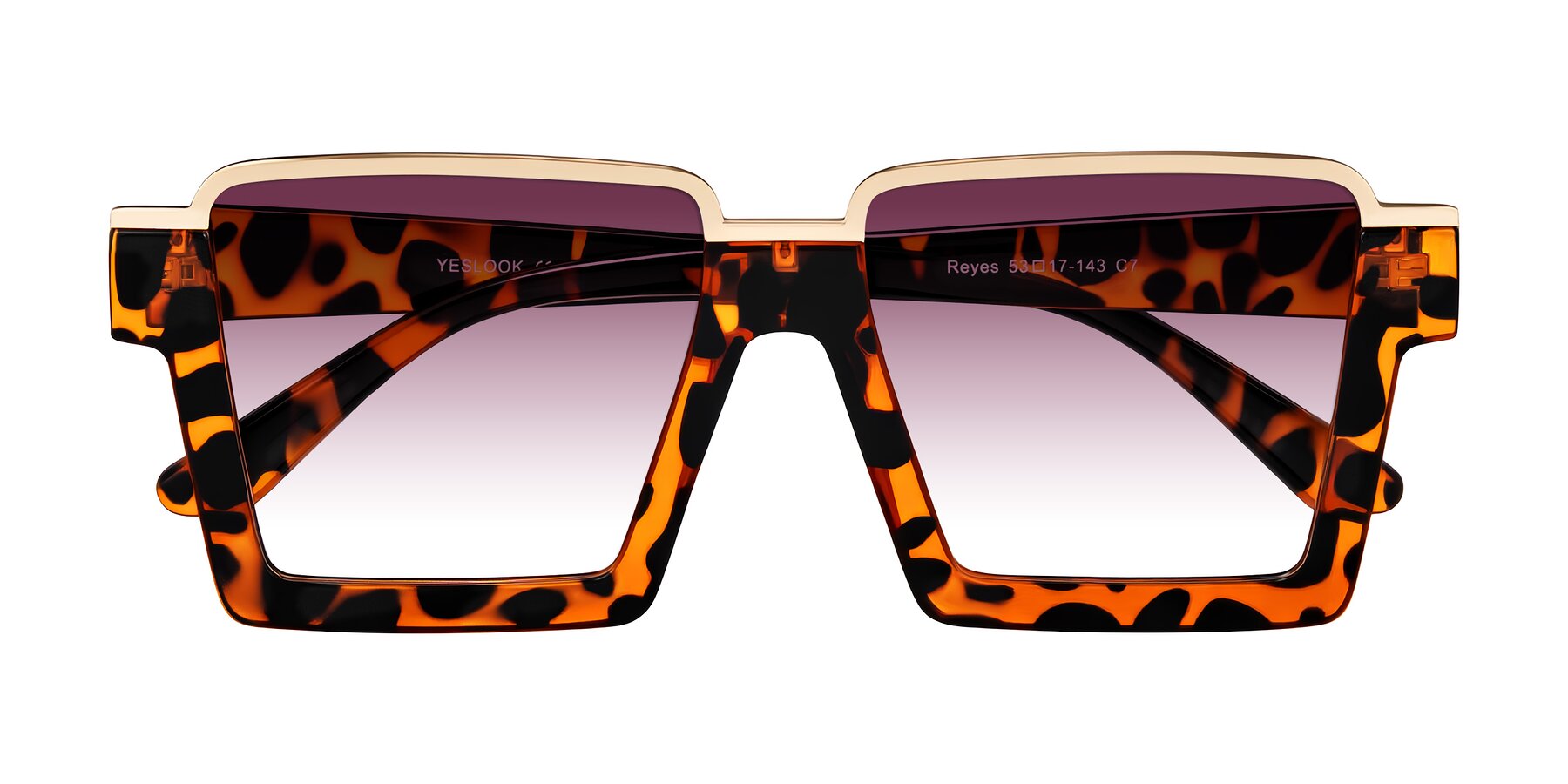 Folded Front of Reyes in Leopard-Print with Wine Gradient Lenses
