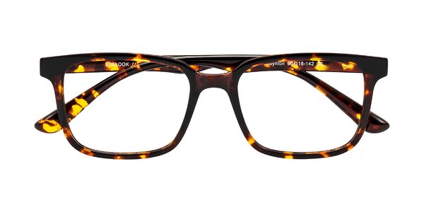 Front of Joynton in Tortoise