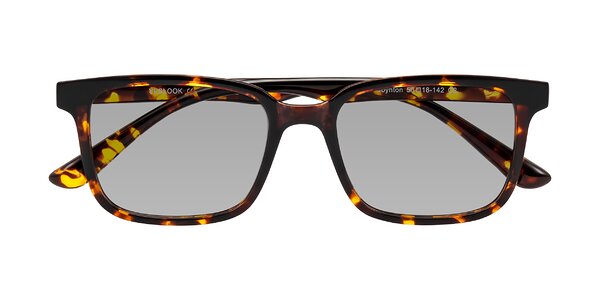 Front of Joynton in Tortoise