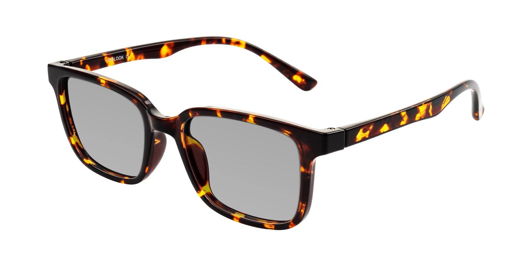 Angle of Joynton in Tortoise with Light Gray Tinted Lenses