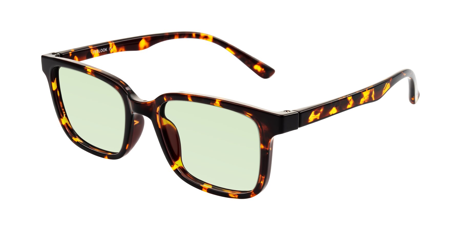 Angle of Joynton in Tortoise with Light Green Tinted Lenses