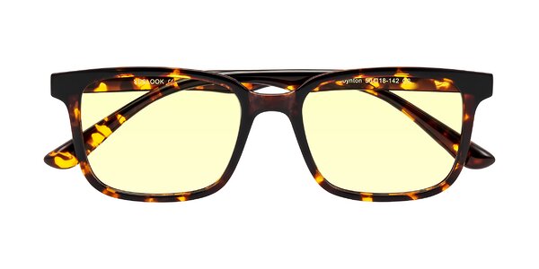 Front of Joynton in Tortoise