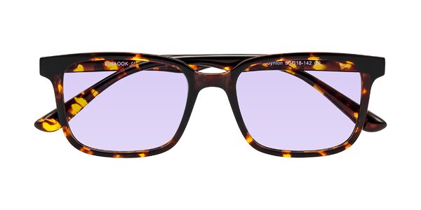 Front of Joynton in Tortoise