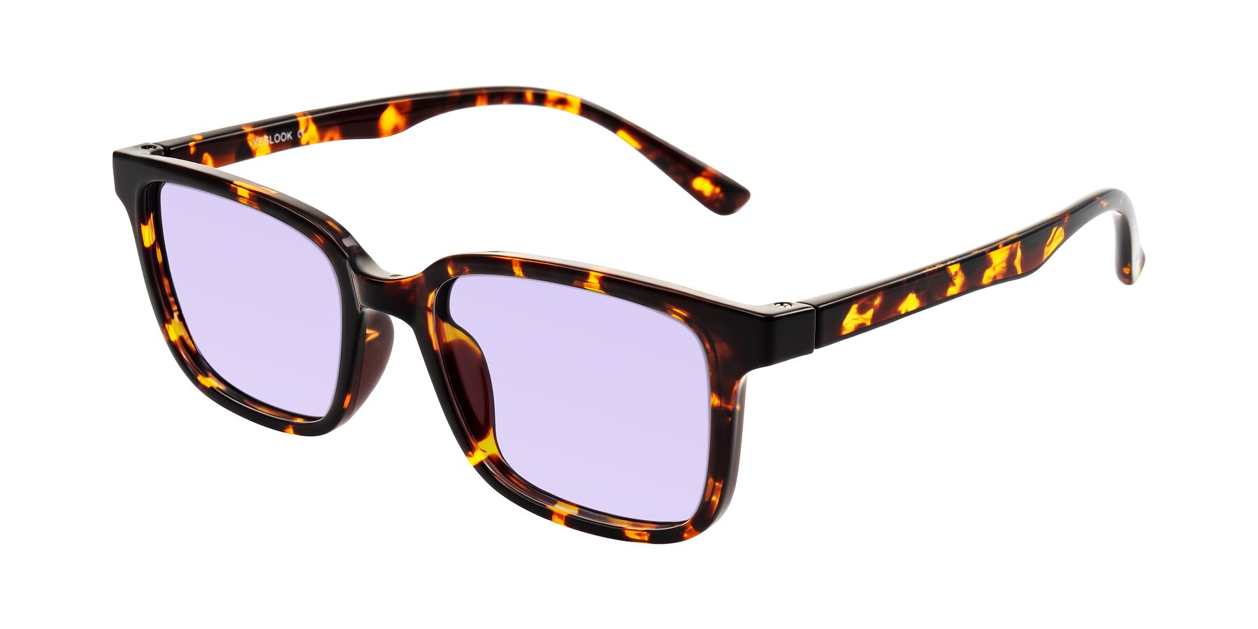 Angle of Joynton in Tortoise with Light Purple Tinted Lenses