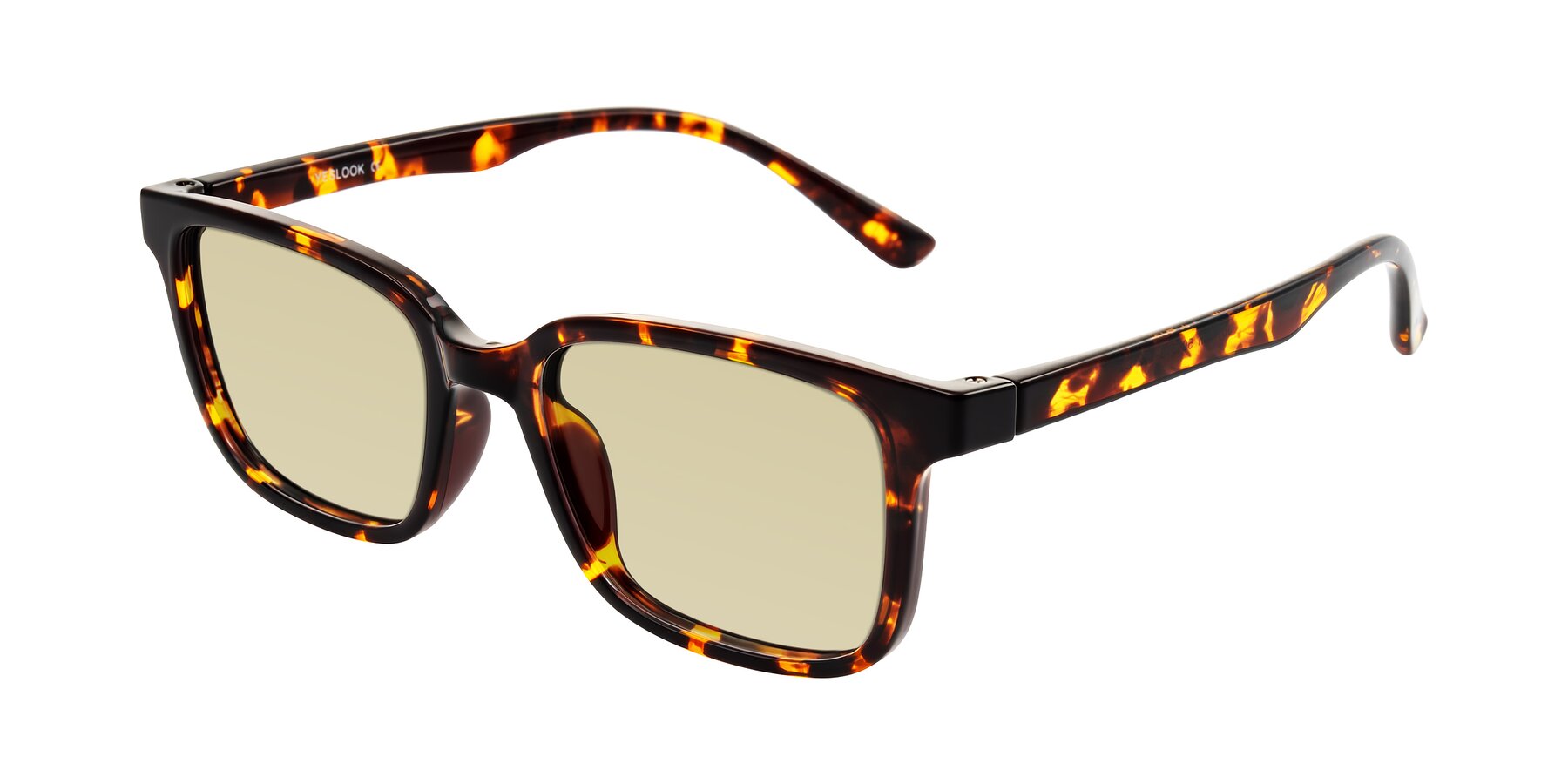 Angle of Joynton in Tortoise with Light Champagne Tinted Lenses