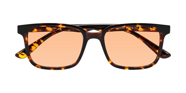 Front of Joynton in Tortoise
