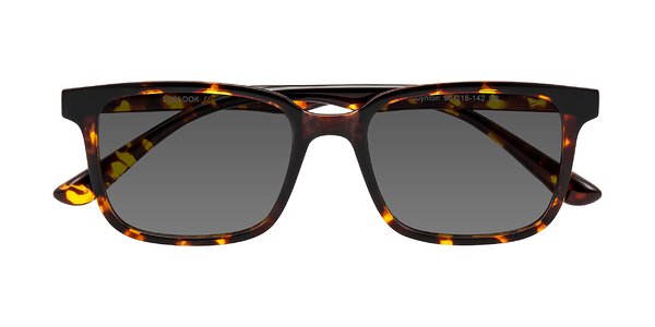 Front of Joynton in Tortoise