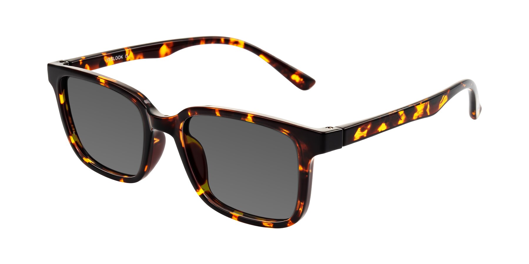 Angle of Joynton in Tortoise with Medium Gray Tinted Lenses