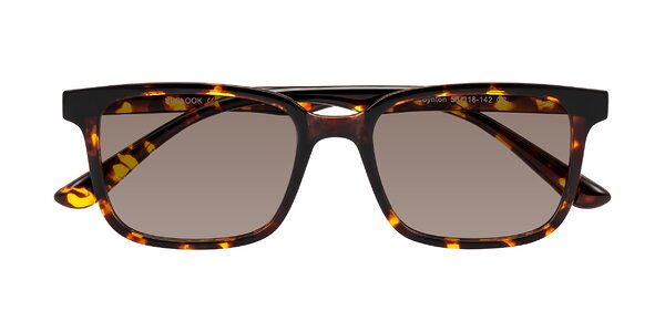 Front of Joynton in Tortoise