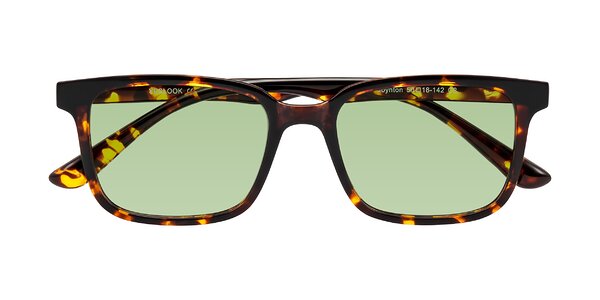 Front of Joynton in Tortoise