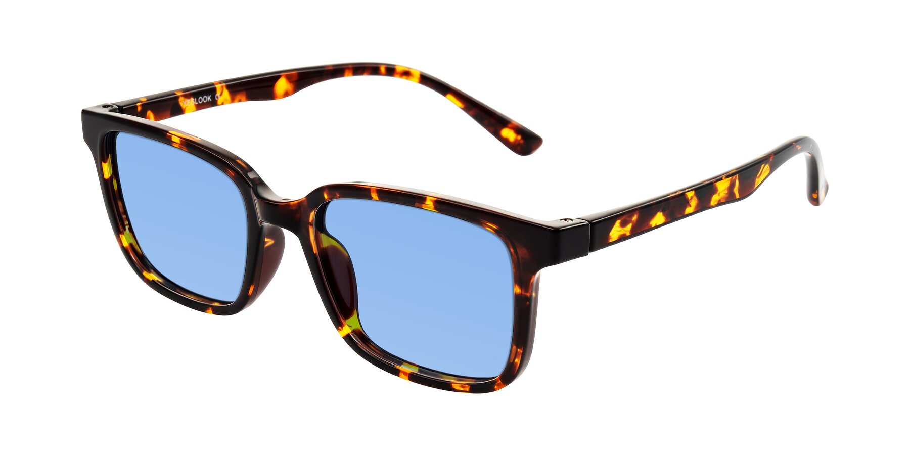 Angle of Joynton in Tortoise with Medium Blue Tinted Lenses