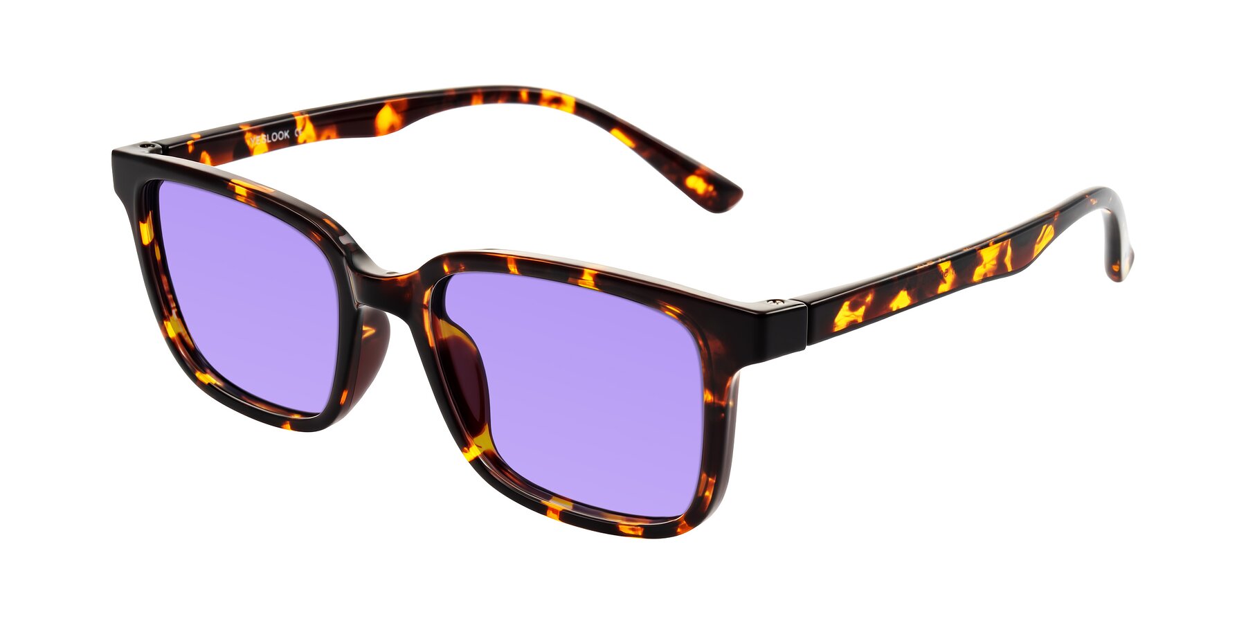 Angle of Joynton in Tortoise with Medium Purple Tinted Lenses