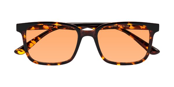 Front of Joynton in Tortoise