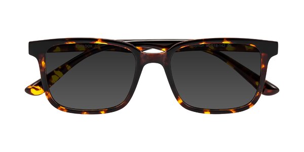 Front of Joynton in Tortoise