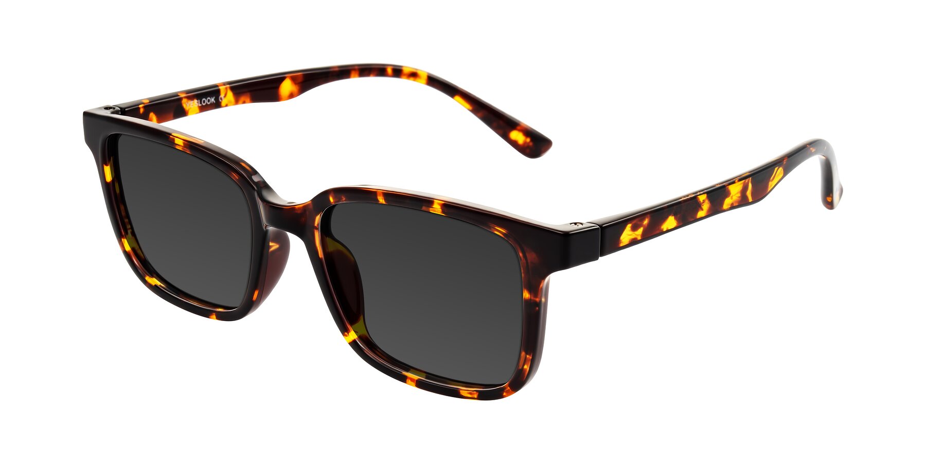 Angle of Joynton in Tortoise with Gray Tinted Lenses