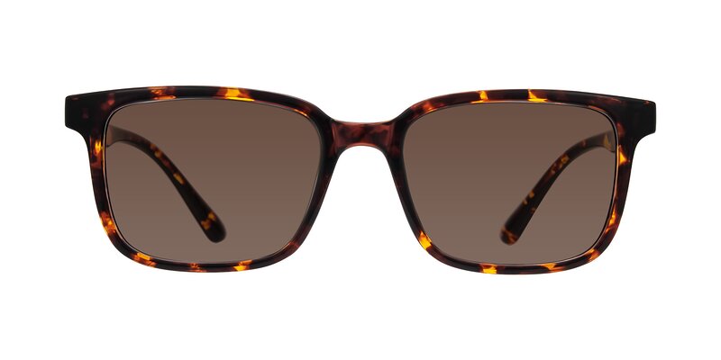 Joynton - Tortoise Tinted Sunglasses