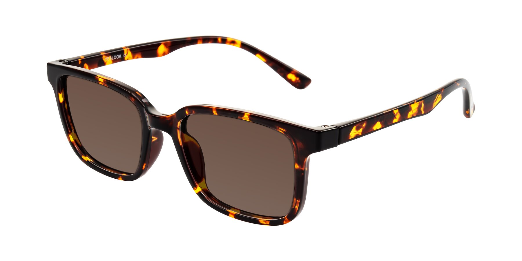 Angle of Joynton in Tortoise with Brown Tinted Lenses