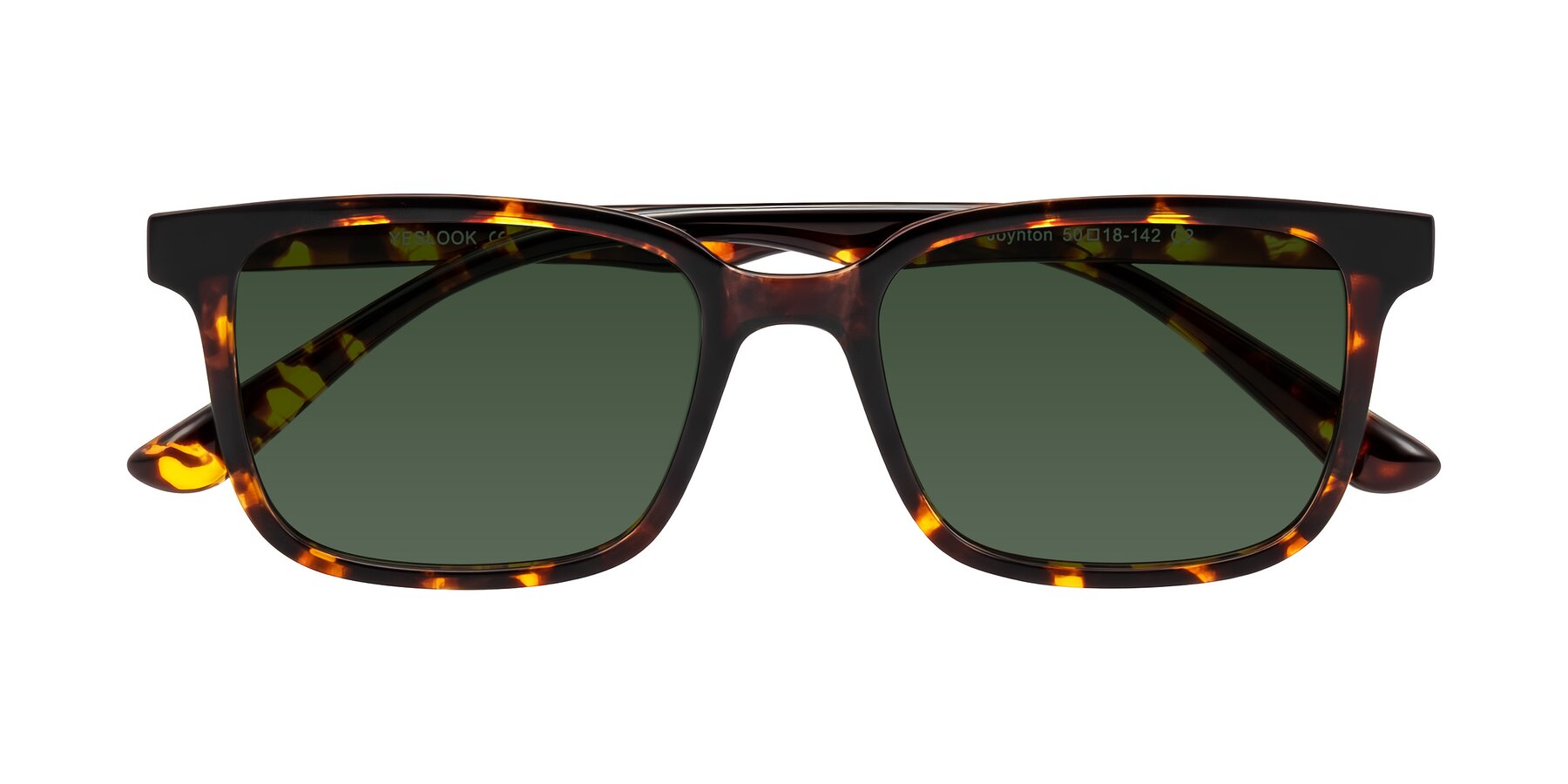 Folded Front of Joynton in Tortoise with Green Tinted Lenses