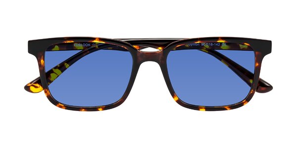 Front of Joynton in Tortoise