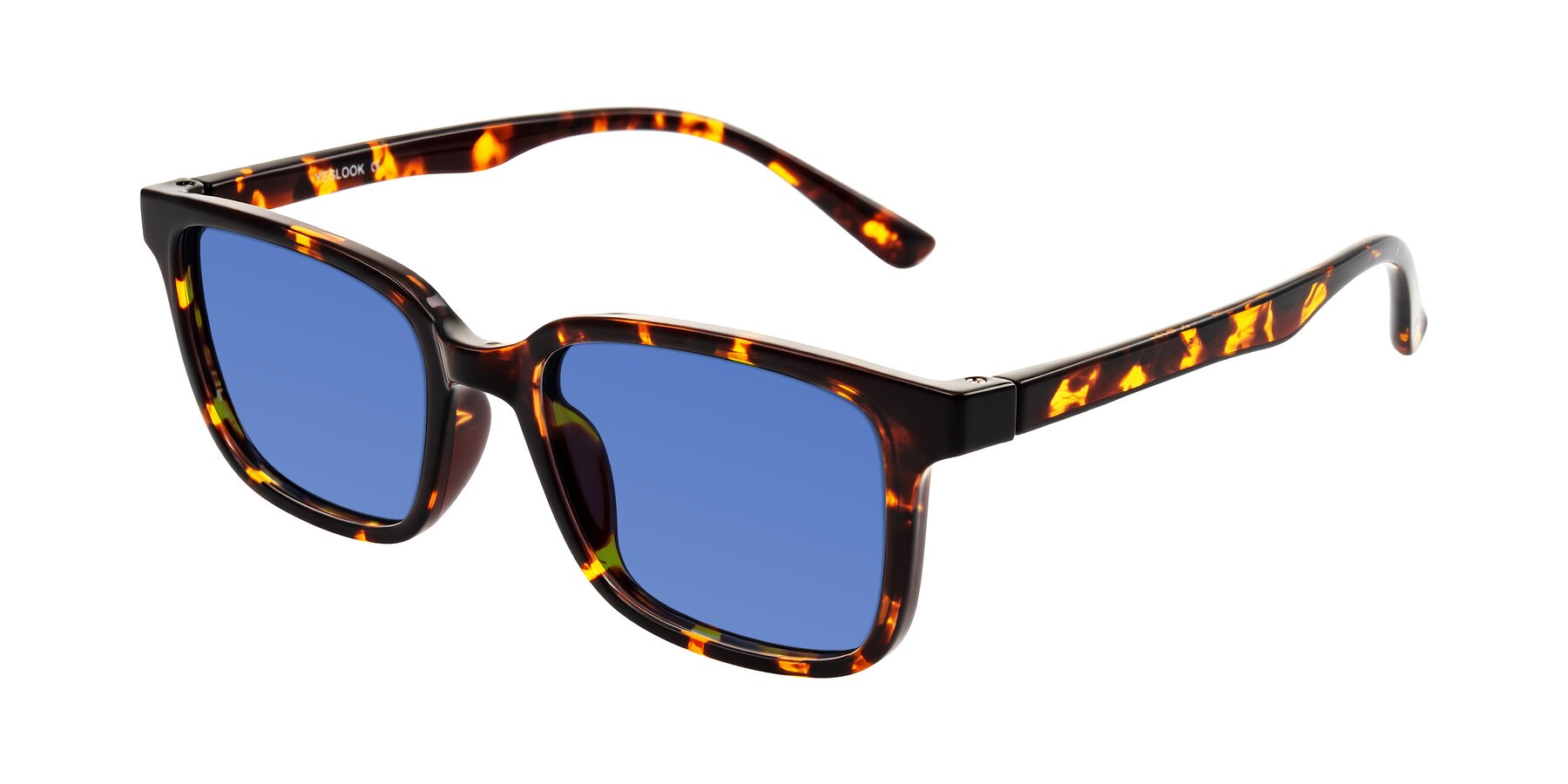 Angle of Joynton in Tortoise with Blue Tinted Lenses