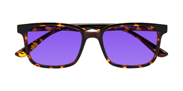 Front of Joynton in Tortoise