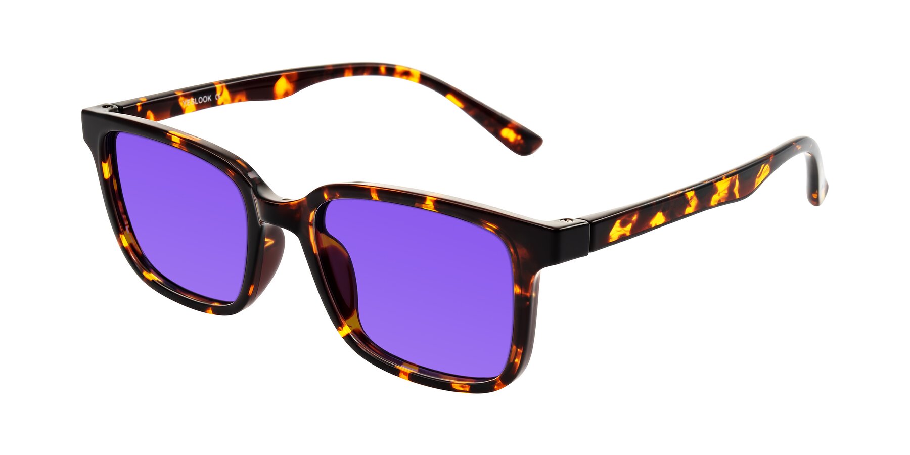 Angle of Joynton in Tortoise with Purple Tinted Lenses