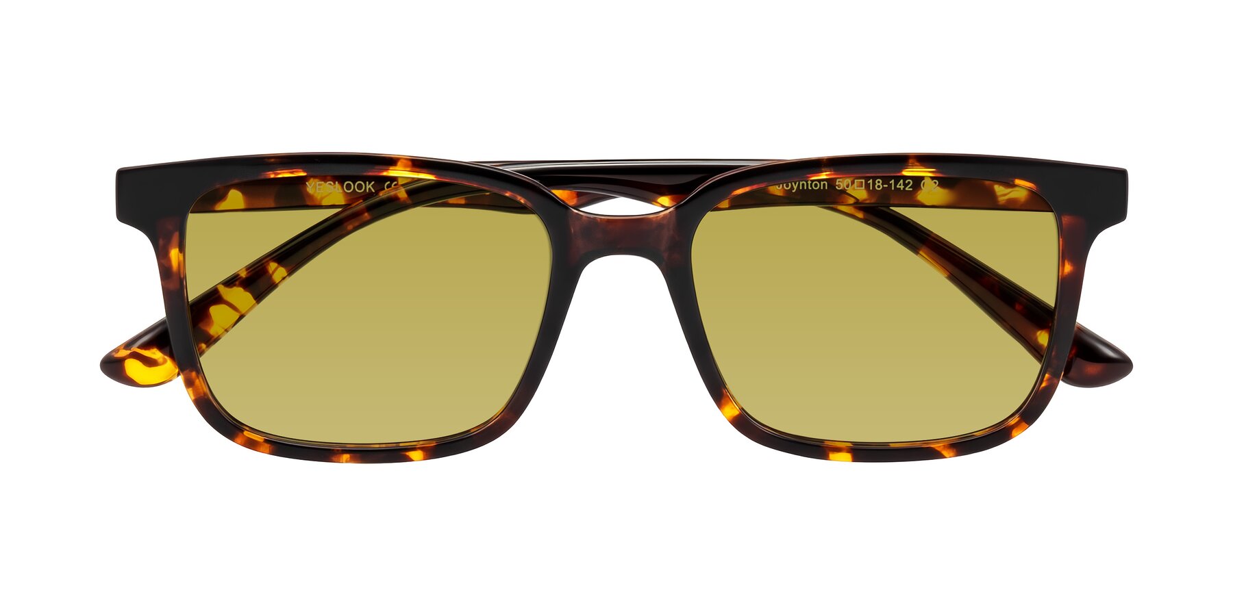 Folded Front of Joynton in Tortoise with Champagne Tinted Lenses