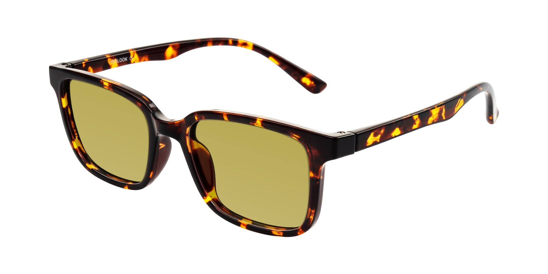 Angle of Joynton in Tortoise with Champagne Tinted Lenses